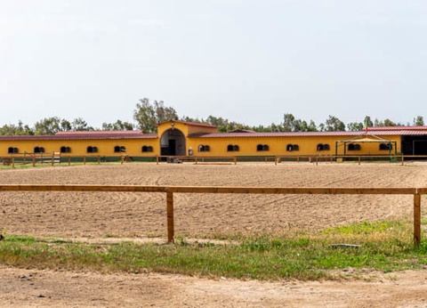 Circuit Sardaigne Occidentale - Jumbo Horse Country 4* - 23