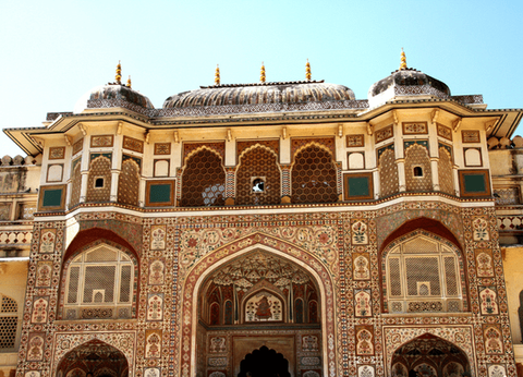 Circuit Le livre de la Jungle, entre oiseaux et tigres, en privatif - 11