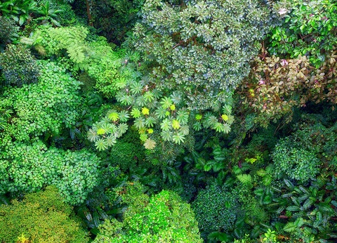 Circuit Merveilles du Costa Rica du Nord au Sud - 9