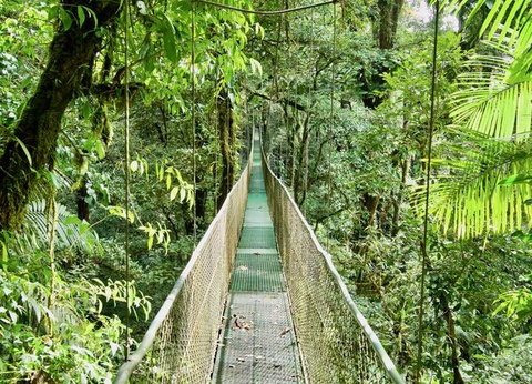 Circuit Immersion au Costa Rica - 6