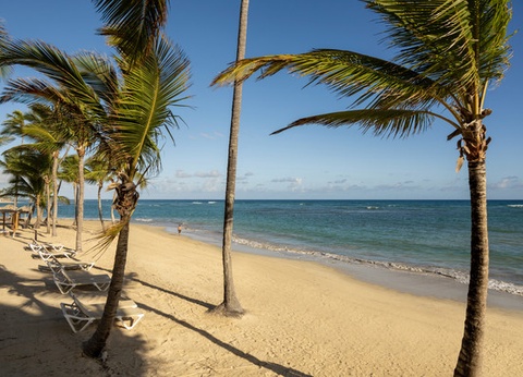 Hôtel Wyndham Alltra Punta Cana **** - 2