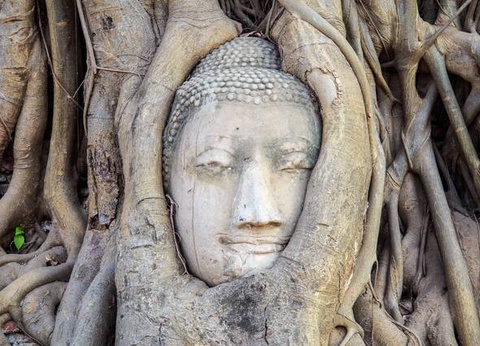 Séduction Thaïe - Thailande - 14