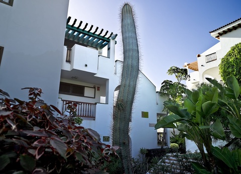 Hôtel BlueSea Callao Garden 3* - 25