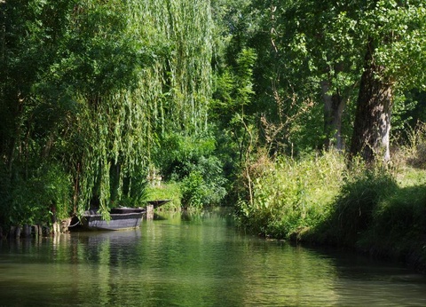 Camping Le Petit Rocher, 4* - 18