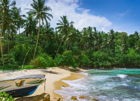 Circuit privé Ceylan buissonnier - 27