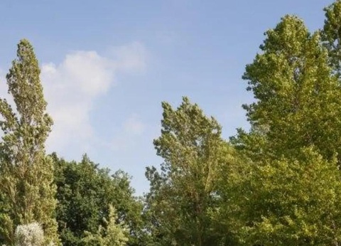 Camping Les 3 Lacs du Soleil, 4* - 9