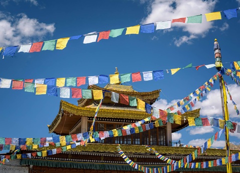 Circuit Voyage au pays Ladakhi : du tumulte de Delhi au silence des hauts plateaux **** - 6