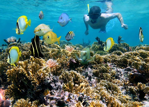 Circuit Découverte et aventure au Costa Rica - 19