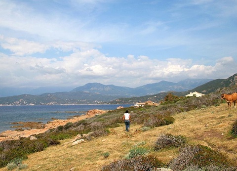 Camping La Liscia, 3* - 18