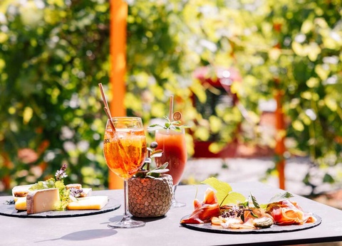 Weekend à Toulouse avec dîner et accès illimité au spa - 4* - 32