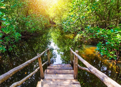 Ôclub Zen Sansi Kendwa Beach Resort 4* + Safari 2 Nuits - 12