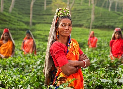 Circuit Evasion au Sri Lanka - 37