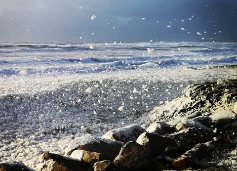 Camping Les Peupliers 3* - 41