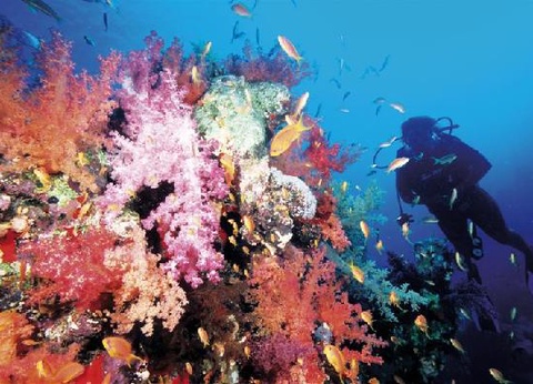 Hôtel Concorde Moreen Beach Resort 5* - 8