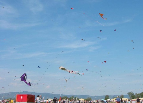 Badiaccia Camping Village, 4* - 51