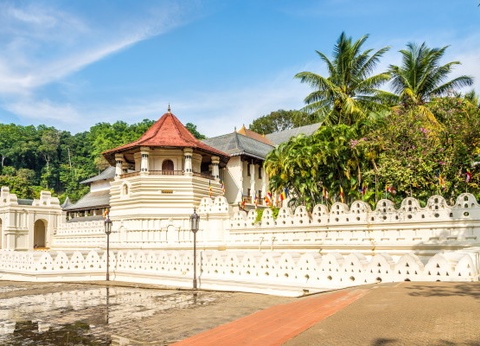 Circuit Intense Sri Lanka (privatif) et Framissima Mermaid 4* - 13