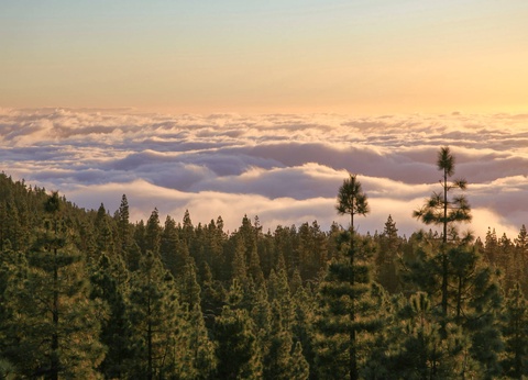 Hôtel Spa Villalba 5* - 12