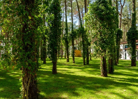 Hôtel Baia Salima Kemer 5* - 5