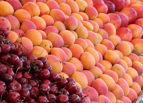 Camping La Tour de France, 3* - 39