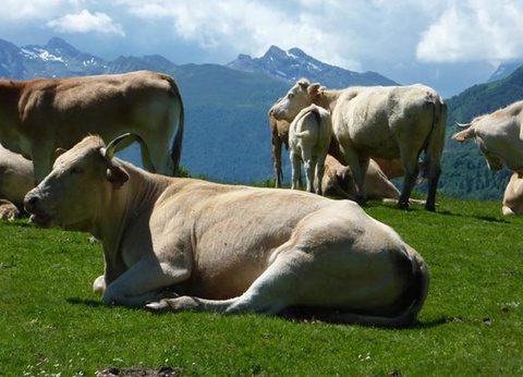 Camping Le Rey, 3* - 47