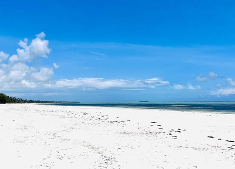 Hôtel Palumbo Mnemba View Resort 4* sup - 4