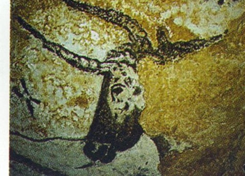 Camping Domaine Du Bois Coquet, 3* - 18