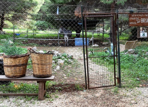 Camping Village El Bahira, 4* - 36