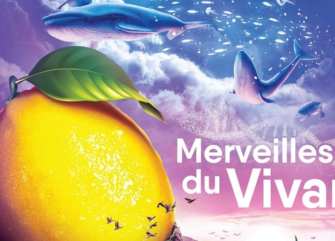 Emplacement idéal pour profiter du carnaval de Nice et la fête du citron à Menton - 3* - 15
