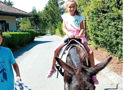 Camping Relais du Léman Pausado, 3* - 29