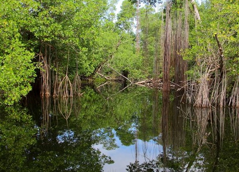 Autoutour Cool Running - 11