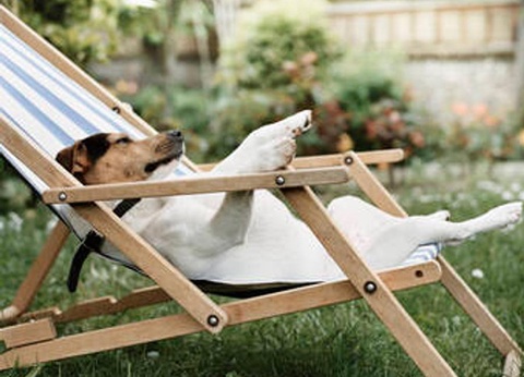 Camping Le Capelan, 4* - 40