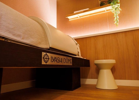 Ibis Styles Domaine de Marlioz 3* + cure - 14