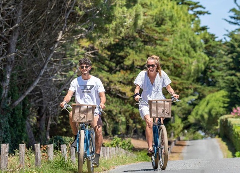 Camping Romanée - le Cormoran, 5* - 33