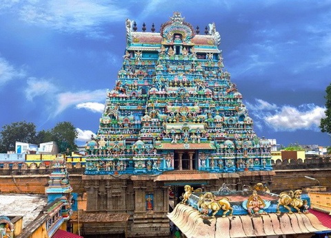 Inde du Sud Essentielle - 8