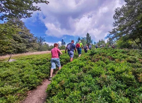 Flower Camping du Lac de la Seigneurie, 3* - 34