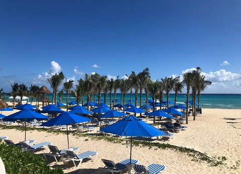 Hôtel The Reef Playacar Beach Resort et Spa 4* - 2