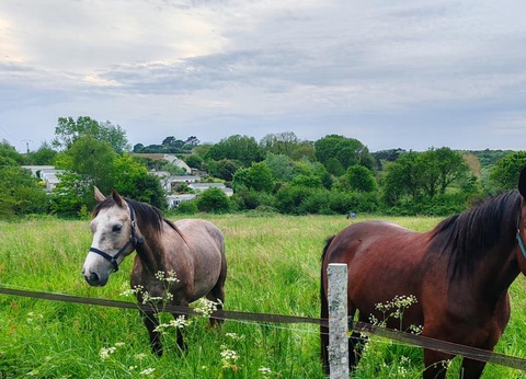 Camping Les Peupliers 3* - 47