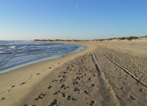 Camping Abri de Camargue, 4* - 47