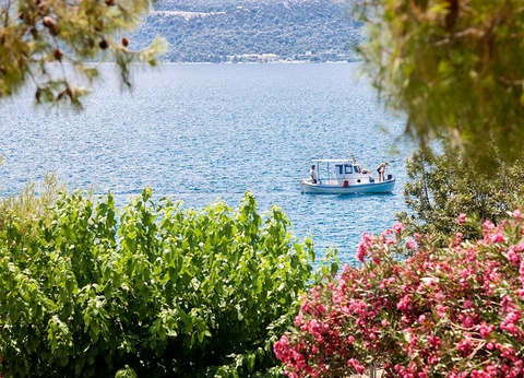 Hôtel Kalamaki Beach Resort 4* - 13