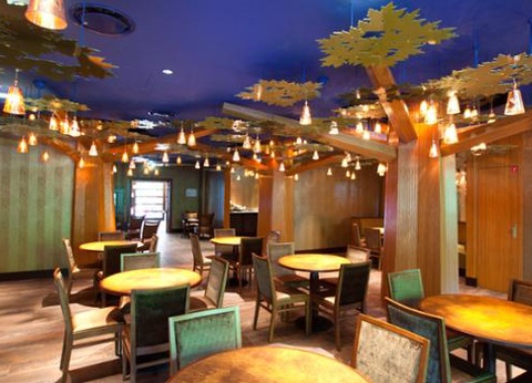 Disney's Sequoia Lodge - 12