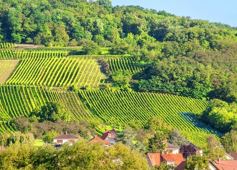 Séjour romantique aux portes de Strasbourg - 3* - 15