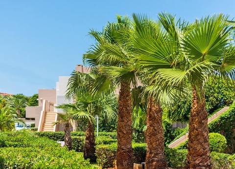 Ôclub Experience Grand Hotel Holiday Resort 4* - 12