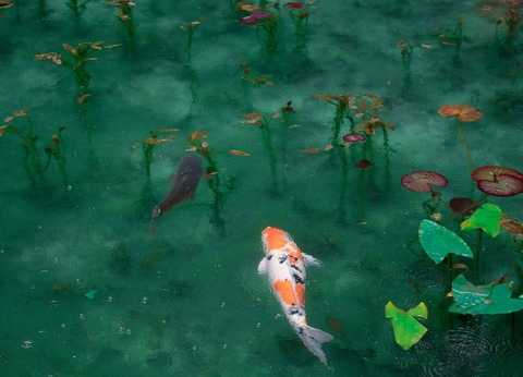 Circuit Voyage en liberté, là où naît le soleil : récit d'un Japon intemporel - 10