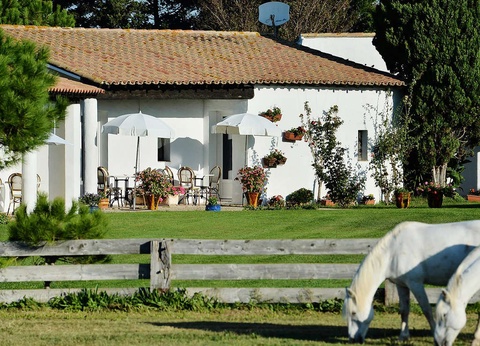Séjour avec balade à cheval dans les paysages Camarguais - 3* - 4