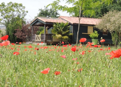 Les Chalets d'Auvergne, 4* - 14