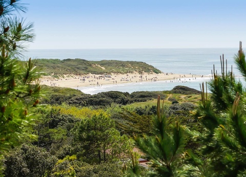 Camping L'Anse des Pins 4* - 15