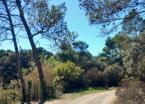 Camping Le Pinada, 3* - 19