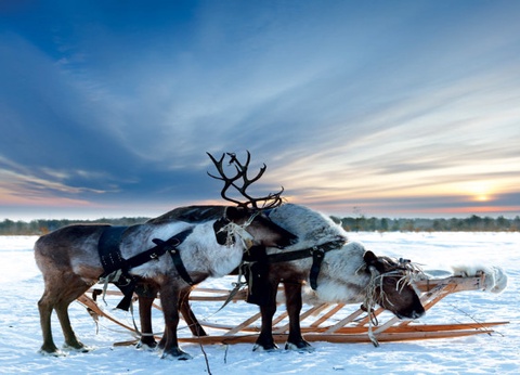 Club Jumbo Santa's Hotel Tunturi Laponie (demi-pension, activités incluses) - 27