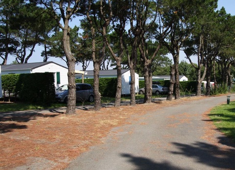 Camping l'Océan, 5* - 144