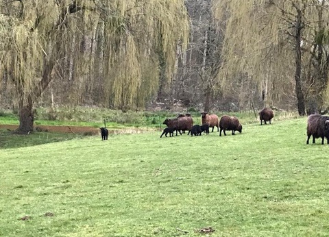 Camping Ty Nenez, 3* - 64